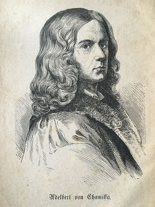 Ein Portrait von Adelbert von Chamisso aus dem Jahr 1831