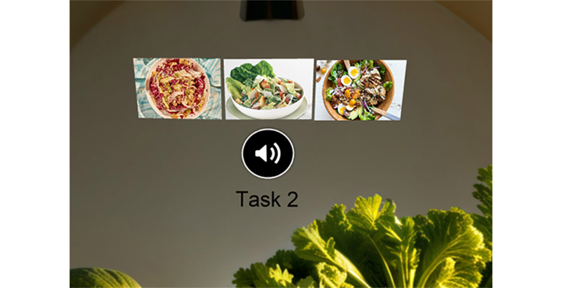 Drei Bilder von verschiedenen Salaten über einem Lautsprecher-Symbol mit der Aufschrift ‚Task 2‘, vor einem Hintergrund mit grünen Salatblättern.