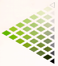 Dreieck gleicher Buntart der bunten Grundfarbe Grün (www.kuepperscolor.de)