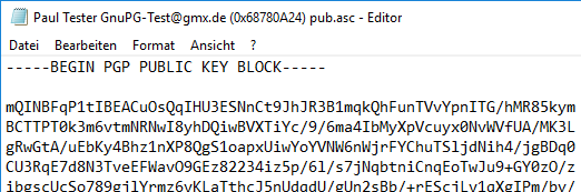 Exportierter öffentlicher Schlüssel im Windows Editor