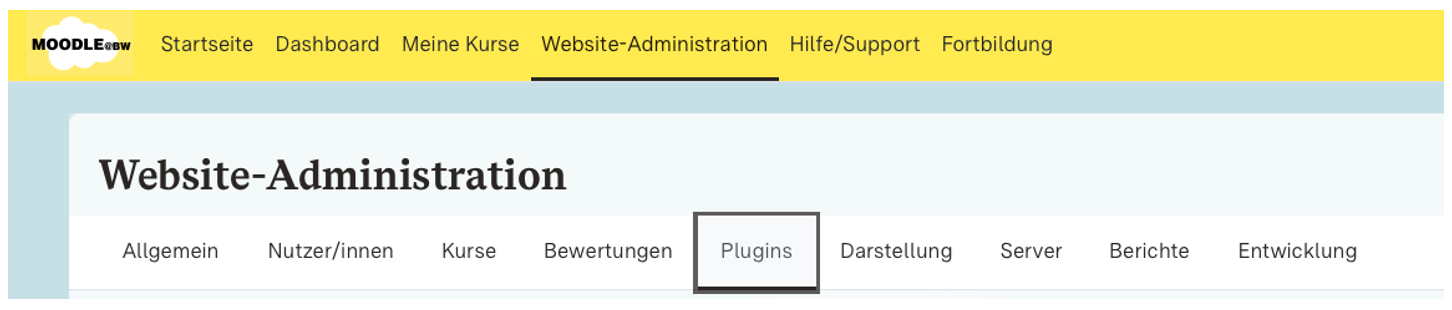 Screenshot Websiteadministration /Plugins
