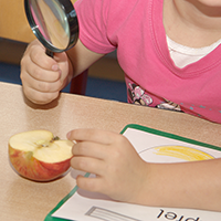 Ein Kind untersucht mit einer Lupe einen aufgeschnittenen Apfel