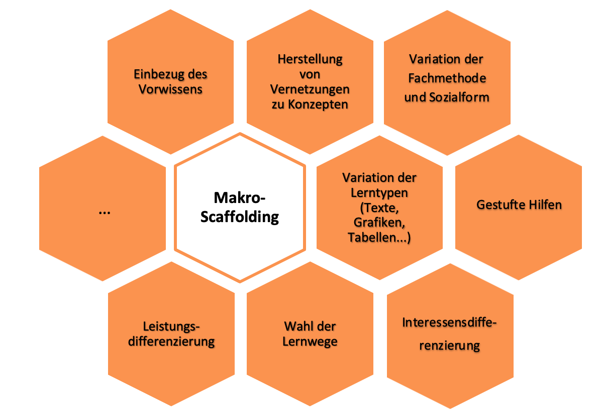 Makro Scaffolding:Charakteristika 