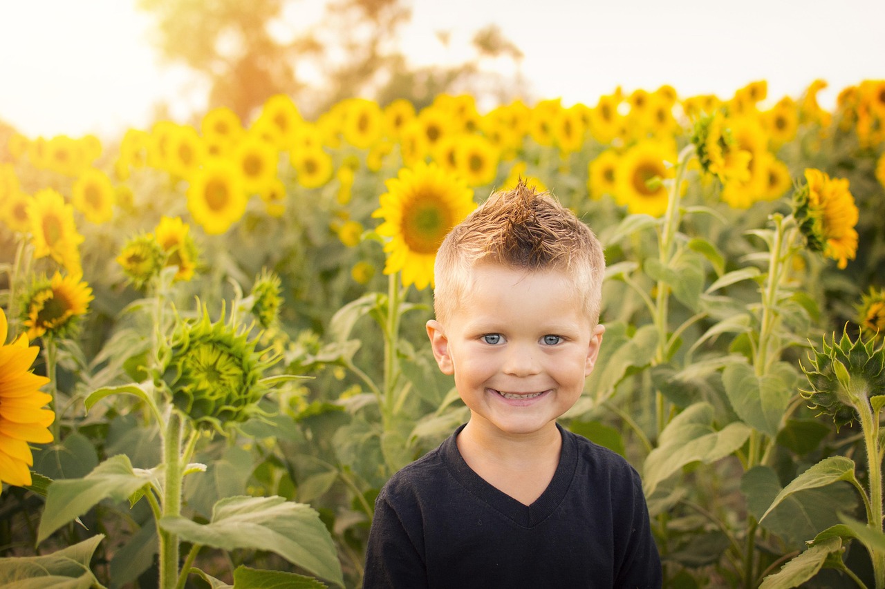 Ein lächelnder Junge steht in einem Sonnenblumenfeld bei Sonnenuntergang.