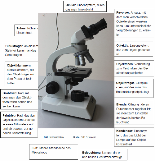 Aufbau Mikroskop Lösung