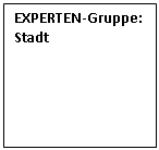 Textfeld: EXPERTEN-Gruppe: Stadt