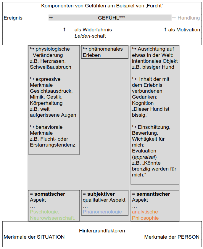 Das Schema zeigt ganz oben die Komponenten von Gefühlen am Beispiel von 'Furcht'. Der Begriff Gefühl ist hierbei zentral und mit drei Sternchen gekennzeichnet, die auf eine Anmerkung unter dem Schema verweisen. Der Begriff steht - über Pfeile dargestellt - in Beziehung zu den Schlagworten 'Ereignis', 'als Widerfahrnis', 'Leiden-schaft', 'Motivation' und 'Handlung'. Diese Schlagworte vereweisen mit verschiedenen Beispielen auf den somatischen Aspekt aus dem Bereich Psychologie und der Neurowissenschaft sowie auf den subjektiven qualitativen Aspekt aus dem Bereich der Phänomenologie und auf den semantischen Aspekt aus dem Bereich der analytischen Philosophie. Alle Aspekte basieren wiederum auf Merkmalen der Situation, Hintergrundfaktoren und Merkmalen der Person.