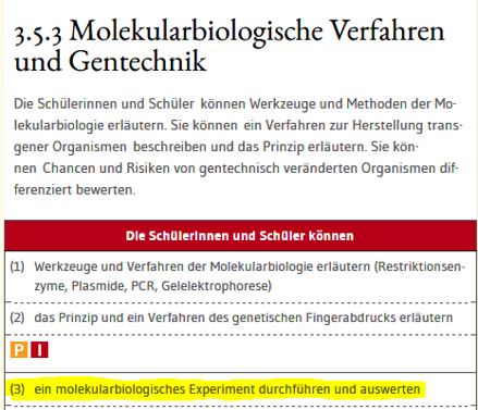 Ein Bild, das Text enthält.Automatisch generierte Beschreibung
