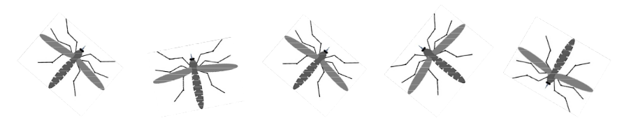 Schematische Darstellung Mosquito