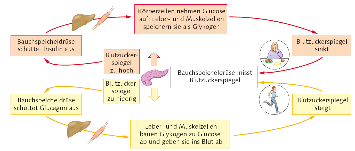 Regulation