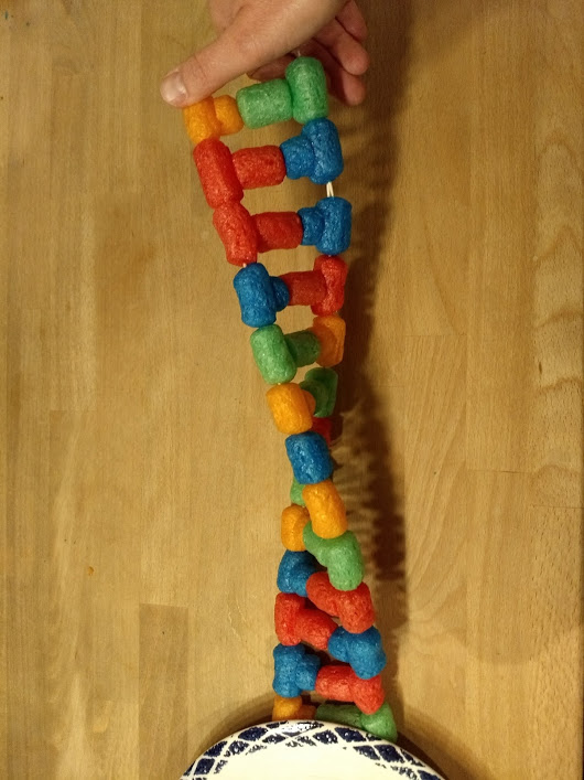 DNA aus Maisbausteinen
