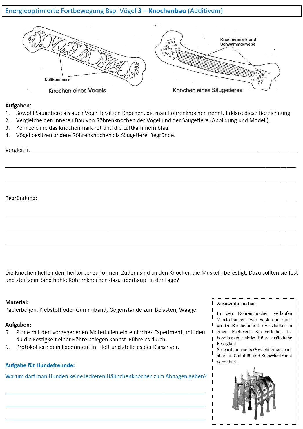Aufbau Knochen Arbeitsblatt Klett