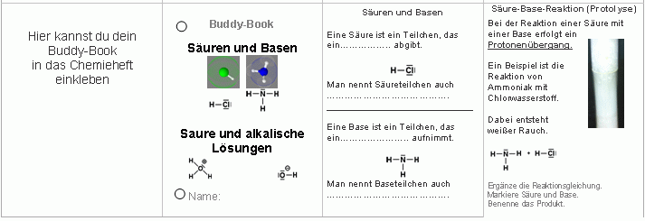 Buddy Book Säuren und Basen 1