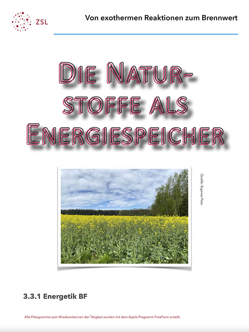 Screenshot der ersten Seite des verlinkten PDF als Vorschaubild
