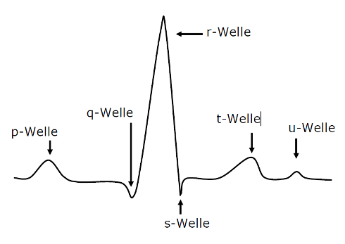 Graph EKG