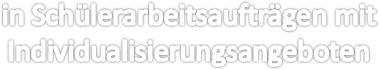 in Schülerarbeitsaufträgen mit Individualisierungsangeboten
