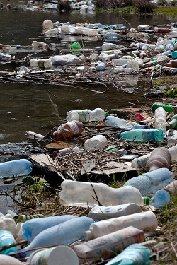 Verschmutztes Gewässer
