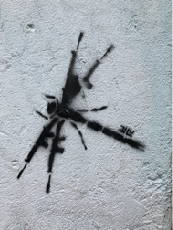 Libelle als schwarzes Wandgraffiti